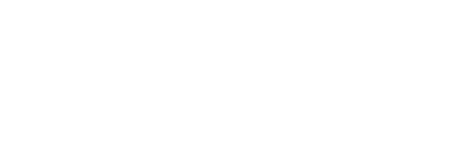 LEANSITE AI LOGO (WHITE)